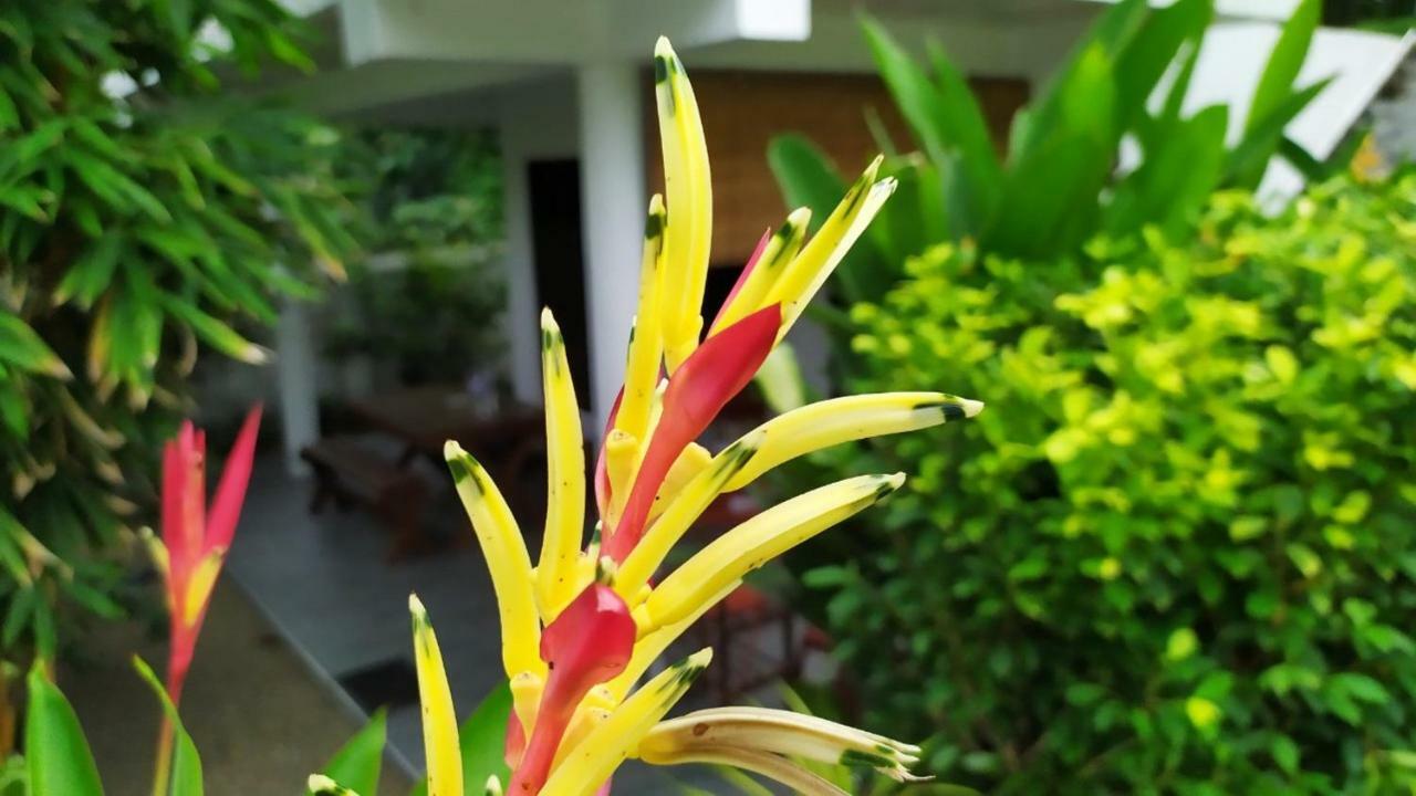 Sunbeam Villa Tangalle Buitenkant foto
